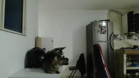 criscamiloo online show from 06-28-26, 08:09