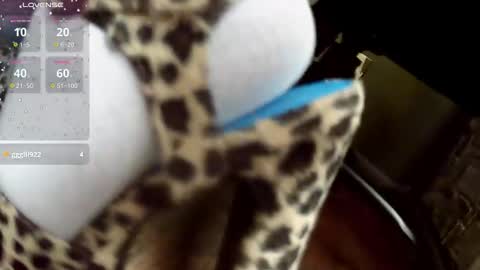 crossdresser krystal online show from 03-01-26, 08:00