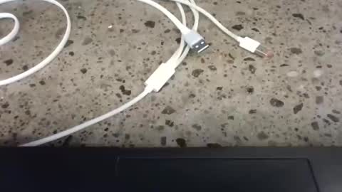 cruelworldxxx online show from 02-22-26, 10:52