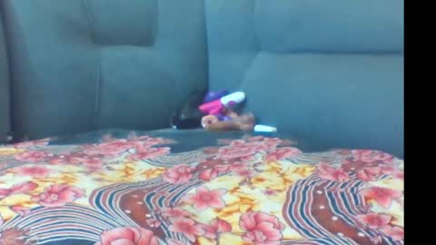 Snapshot of crystallgem chatting on 03-02-26, 01:07 crystallgem online show from 03-02-26, 01:07