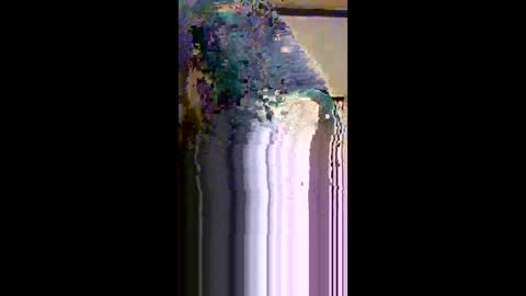 cuban_daddy1 online show from 02-17-26, 03:03