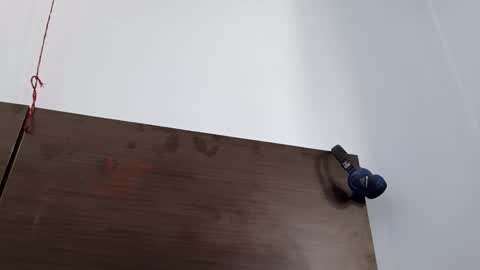 cuddlemuffins online show from 03-08-26, 05:00