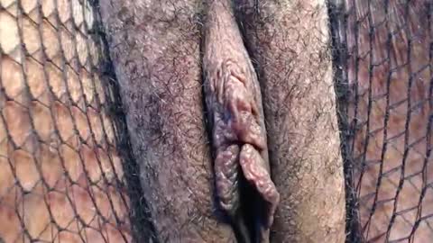 Nambuusi Irene online show from 03-26-26, 12:39