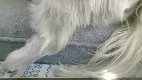 Snapshot of cumfestlover chatting on 09-14-25, 11:26 cumfestlover online show from 09-14-25, 11:26