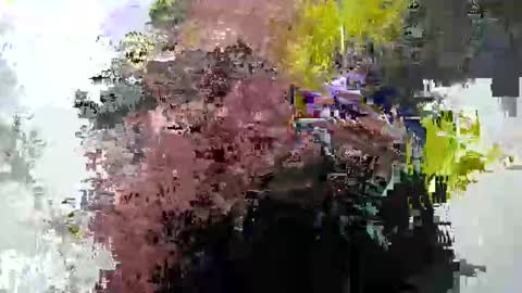 cummwitme211 online show from 02-25-25, 06:42