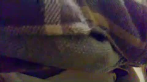Snapshot of cumnridewa chatting on 06-17-26, 12:13 cumtowa online show from 06-17-26, 12:13