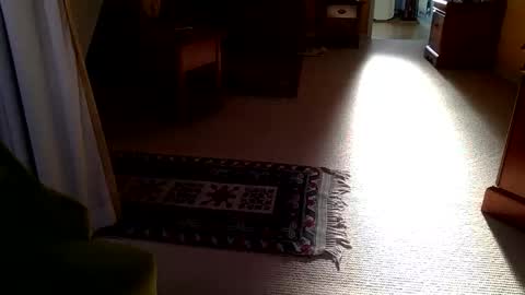 cumonherguys online show from 10-28-25, 08:29