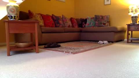 Snapshot of cumonherguys chatting on 11-07-25, 08:25 cumonherguys online show from 11-07-25, 08:25