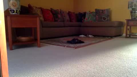 Snapshot of cumonherguys chatting on 11-08-25, 08:36 cumonherguys online show from 11-08-25, 08:36