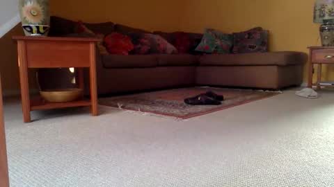 Snapshot of cumonherguys chatting on 11-17-25, 09:37 cumonherguys online show from 11-17-25, 09:37