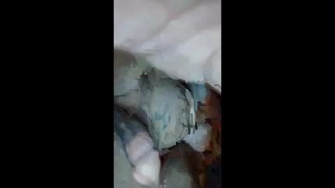 Aprilia online show from 09-23-25, 10:51