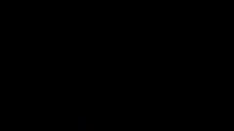 curiousnomad_dmv online show from 03-24-26, 06:18