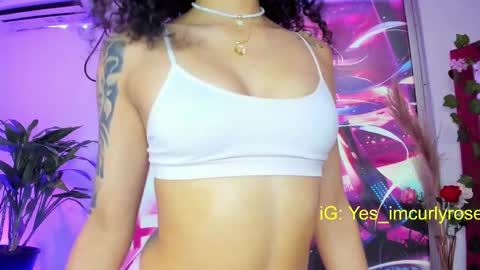 Snapshot of curlyrose_ chatting on 02-17-25, 09:08 Rose online show from 02-17-25, 09:08