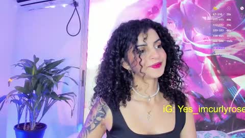 Snapshot of curlyrose_ chatting on 02-26-25, 08:44 Rose online show from 02-26-25, 08:44