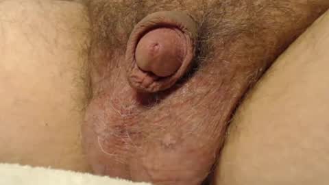 curve66 online show from 11-17-25, 11:10