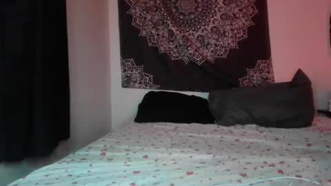 Cline  online show from 06-21-26, 01:41
