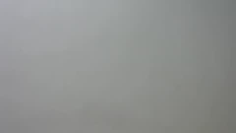 liz online show from 06-24-26, 02:49