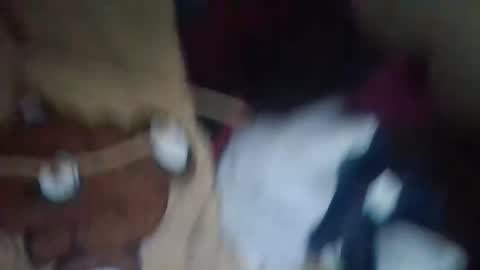 dahlia -kim online show from 12-04-24, 08:40