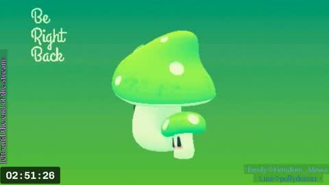 Snapshot of cute_baby_drug chatting on 05-18-26, 02:45 Polly my Name. . online show from 05-18-26, 02:45