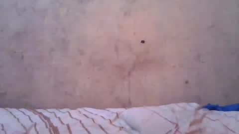 cute_divah4 online show from 06-12-26, 04:22