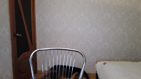cute_strawberry_ online show from 12-09-24, 04:45