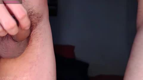 Snapshot of cyber_adan1 chatting on 12-26-24, 12:49 cyber online show from 12-26-24, 12:49