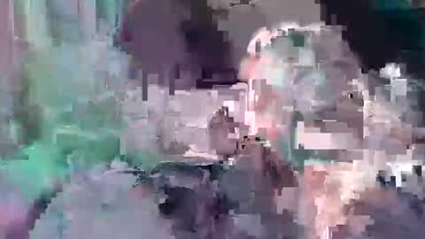 Snapshot of d857813 chatting on 01-23-25, 05:31 B dickkReallyyFck online show from 01-23-25, 05:31