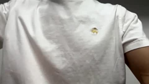 Jewbb online show from 06-10-26, 02:01