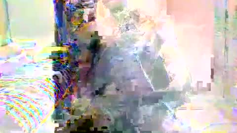 dacedave52 online show from 02-07-26, 10:52