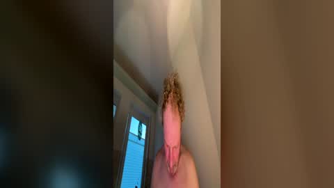 Dachdecker online show from 06-24-26, 03:05