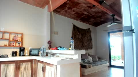 Belle  Email daddydaycarecb  online show from 03-11-25, 01:45