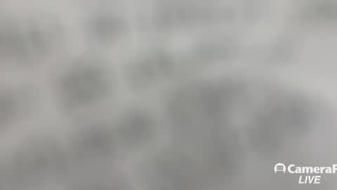 Tommy online show from 11-02-25, 01:24