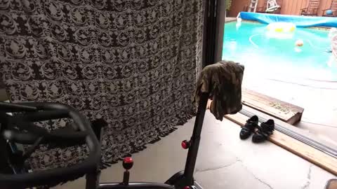 bas online show from 09-27-25, 04:34