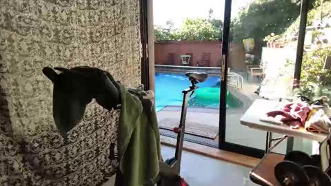 Snapshot of daddycache chatting on 11-09-25, 03:43 bas online show from 11-09-25, 03:43