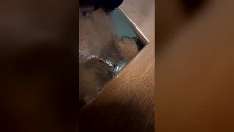 DaddyLeeBBC online show from 05-06-26, 05:57
