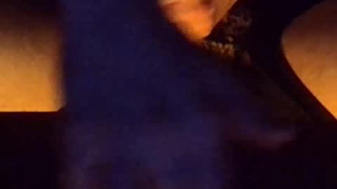 daddypervbuttprincess online show from 06-26-26, 08:46