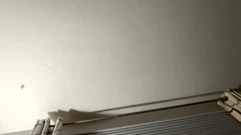 daddyweis online show from 05-07-26, 01:55