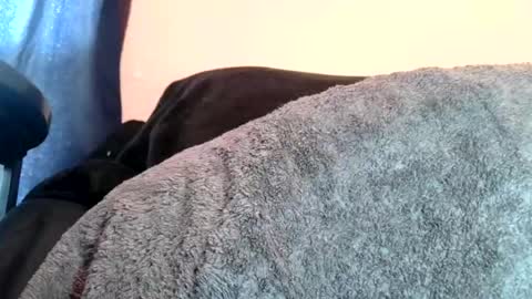 daddyyoo8 online show from 07-28-26, 04:27
