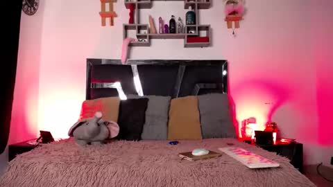 daenerys_cat online show from 01-31-25, 12:07