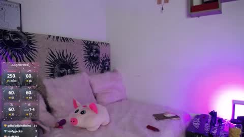 daenerys_cat online show from 03-01-25, 03:05