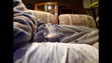 Snapshot of dailyjerker84 chatting on 03-01-25, 06:13 DailyJerker84 online show from 03-01-25, 06:13