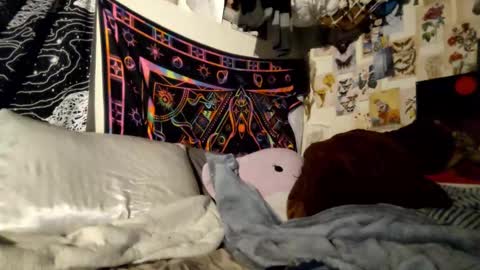 DaintyDarling online show from 02-21-25, 06:48