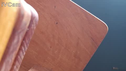 Daisy Banx online show from 12-27-24, 12:45