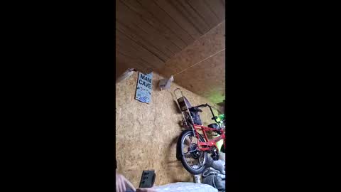 dave online show from 04-22-26, 10:22