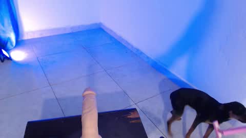 VALENTINA  online show from 11-16-25, 07:41