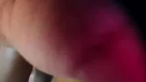 dakotaholand online show from 12-05-25, 06:33