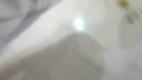 dakovid33 online show from 01-14-26, 07:30