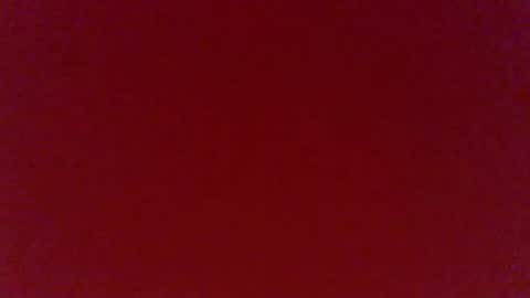 dale_241 online show from 12-13-24, 08:20