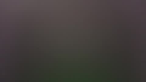 Snapshot of dallasjmg chatting on 02-25-26, 10:19 dallasjmg online show from 02-25-26, 10:19