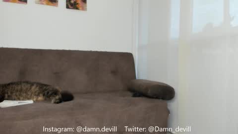 Angie   online show from 03-01-25, 10:53